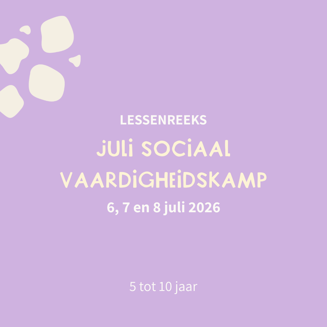 Sociale vaardigheidskamp - 6, 7 en 8 juli