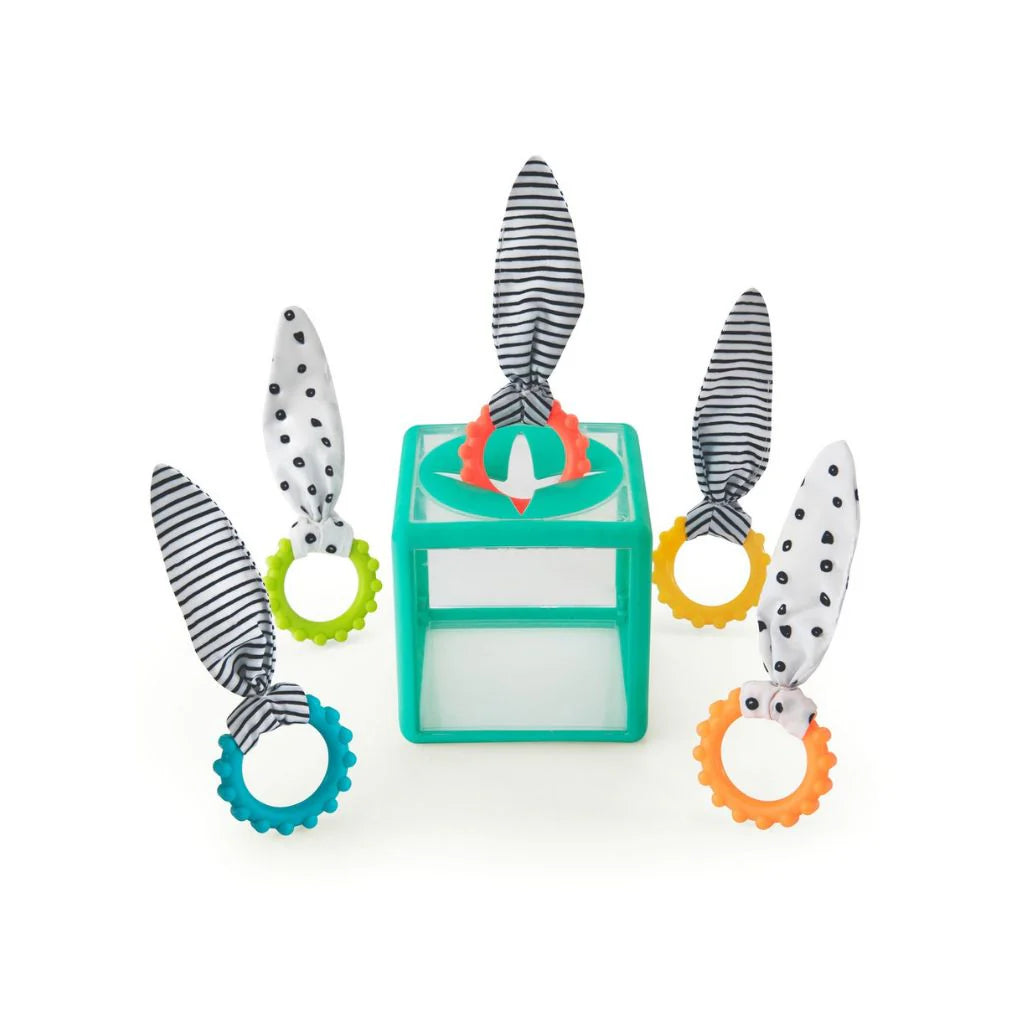 Sassy speelkubus Rainbow Ring Drop